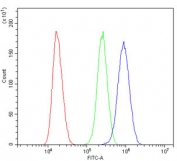 Flow cytometry testing of human SiHa cells with Fos B antibody at 1ug/million cells (blocked with goat sera); Red=cells alone, Green=isotype control, Blue= Fos B antibody.