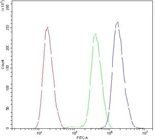 Flow cytometry testing of human SiHa cells with ATXN3 antibody at 1ug/million cells (blocked with goat sera); Red=cells alone, Green=isotype control, Blue= ATXN3 antibody.