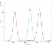 Flow cytometry testing of human A549 cells with ATXN3 antibody at 1ug/million cells (blocked with goat sera); Red=cells alone, Green=isotype control, Blue= ATXN3 antibody.