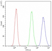 Flow cytometry testing of human PC-3 cells with HSPA2 antibody at 1ug/10^6 cells (blocked with goat sera); Red=cells alone, Green=isotype control, Blue= HSPA2 antibody.