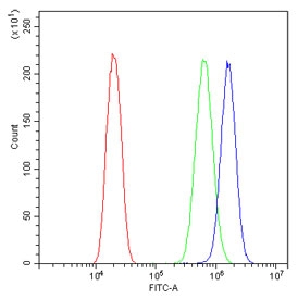Flow cytometry testing of human U-2 OS cells with EPHB1 antibody at 1ug/million cells (blocked with goat sera); Red=cells alone, Green=isotype control, Blue= EPHB1 antibody.