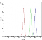 Flow cytometry testing of fixed and permeabilized human 293T cells with FOXA3 antibody at 1ug/million cells (blocked with goat sera); Red=cells alone, Green=isotype control, Blue= FOXA3 antibody.