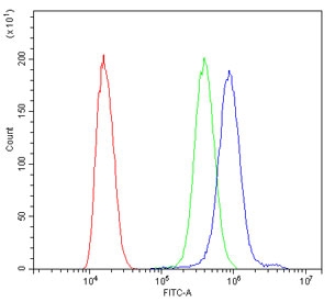Flow cytometry testing of human SiHa cells with CTBP2 antibody at 1ug/million cells (blocked with goat sera); Red=cells alone, Green=isotype control, Blue= CTBP2 antibody.