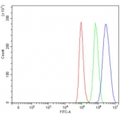 Flow cytometry testing of human A549 cells with MUNC18-1 antibody at 1ug/million cells (blocked with goat sera); Red=cells alone, Green=isotype control, Blue= MUNC18-1 antibody.