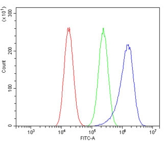 Flow cytometry testing of human A549 cells with RAB11 antibody at 1ug/10^6 cells (blocked with goat sera); Red=cells alone, Green=isotype control, Blue= RAB11 antibody.