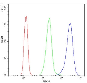 Flow cytometry testing of human A431 cells with RBX1 antibody at 1ug/million cells (blocked with goat sera); Red=cells alone, Green=isotype control, Blue= RBX1 antibody.