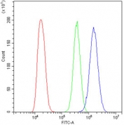 Flow cytometry testing of human A431 cells with PSD95 antibody at 1ug/million cells (blocked with goat sera); Red=cells alone, Green=isotype control, Blue= PSD95 antibody.