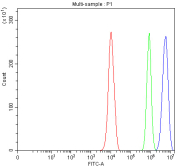 Flow cytometry analysis of fixed and permeabilized human PC-3 cells with Cyclin A1 antibody at 1ug/million cells (blocked with goat sera); Red=cells alone, Green=isotype control, Blue= Cyclin A1 antibody.
