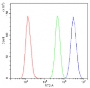 Flow cytometry testing of human U-2 OS cells with EWSR1 antibody at 1ug/10^6 cells (blocked with goat sera); Red=cells alone, Green=isotype control, Blue= EWSR1 antibody.