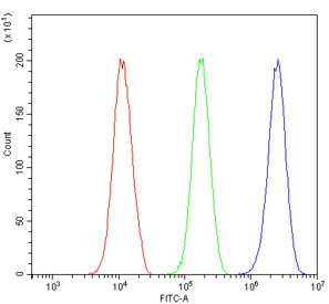 Flow cytometry testing of human 293T cells with RBBP4 antibody at 1ug/million cells (blocked with goat sera); Red=cells alone, Green=isotype control, Blue= RBBP4 antibody.