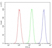 Flow cytometry testing of human 293T cells with RBBP4 antibody at 1ug/million cells (blocked with goat sera); Red=cells alone, Green=isotype control, Blue= RBBP4 antibody.