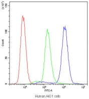 Flow cytometry testing of human A431 cells with PTP4A2 antibody at 1ug/10^6 cells (blocked with goat sera); Red=cells alone, Green=isotype control, Blue=PTP4A2 antibody.