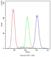 Flow cytometry testing of human A431 cells with PTP4A2 antibody at 1ug/10^6 cells (blocked with goat sera); Red=cells alone, Green=isotype control, Blue=PTP4A2 antibody.