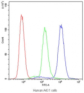 Flow cytometry testing of human A431 cells with PTP4A2 antibody at 1ug/million cells (blocked with goat sera); Red=cells alone, Green=isotype control, Blue=PTP4A2 antibody.