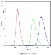 Flow cytometry testing of human PC-3 cells with PTP4A2 antibody at 1ug/10^6 cells (blocked with goat sera); Red=cells alone, Green=isotype control, Blue=PTP4A2 antibody.