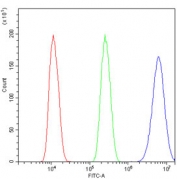 Flow cytometry testing of human U-2 OS cells with TRIM28 antibody at 1ug/million cells (blocked with goat sera); Red=cells alone, Green=isotype control, Blue= TRIM28 antibody.