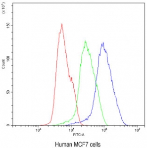 Flow cytometry testing of human MCF7 cells with BIK antibody at 1ug/million cells (blocked with goat sera); Red=cells alone, Green=isotype control, Blue= BIK antibody.