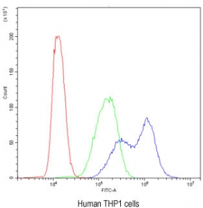 Flow cytometry testing of human THP1 cells with BIK antibody at 1ug/million cells (blocked with goat sera); Red=cells alone, Green=isotype control, Blue= BIK antibody.