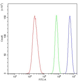 Flow cytometry testing of human U-2 OS cells with CTBP1 antibody at 1ug/million cells (blocked with goat sera); Red=cells alone, Green=isotype control, Blue= CTBP1 antibody.