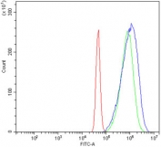 Flow cytometry testing of human A431 cells with STIM1 antibody at 1ug/million cells (blocked with goat sera); Red=cells alone, Green=isotype control, Blue= STIM1 antibody.