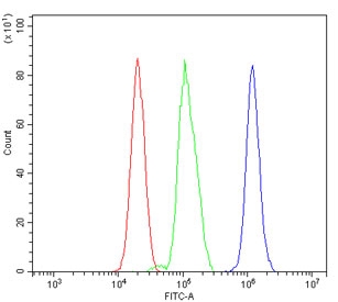 Flow cytometry testing of rat RH35 cells with Flotillin 2 antibody at 1ug/million cells (blocked with goat sera); Red=cells alone, Green=isotype control, Blue= Flotillin 2 antibody.