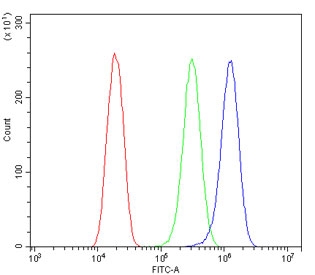 Flow cytometry testing of human U-2 OS cells with Flotillin 2 antibody at 1ug/million cells (blocked with goat sera); Red=cells alone, Green=isotype control, Blue= Flotillin 2 antibody.