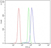 Flow cytometry testing of human U937 cells with STXBP2 antibody at 1ug/million cells (blocked with goat sera); Red=cells alone, Green=isotype control, Blue= STXBP2 antibody.