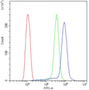 Flow cytometry testing of human ThP1 cells with BAK antibody at 1ug/10^6 cells (blocked with goat sera); Red=cells alone, Green=isotype control, Blue= BAK antibody.