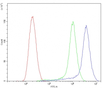 Flow cytometry testing of human SiHa cells with CYP1B1 antibody at 1ug/10^6 cells (blocked with goat sera); Red=cells alone, Green=isotype control, Blue= CYP1B1 antibody.