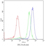 Flow cytometry testing of BRL 3A cells (Bufallo rat liver) with Srb1 antibody at 1ug/10^6 cells (blocked with goat sera); Red=cells alone, Green=isotype control, Blue=Srb1 antibody.