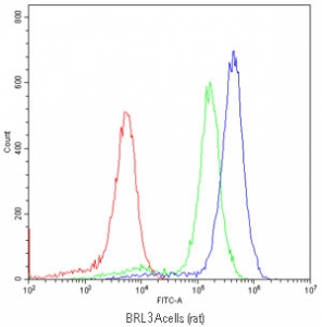 Flow cytometry testing of BRL 3A cells (Bufallo rat liver) with Srb1 antibody at 1ug/million cells (blo