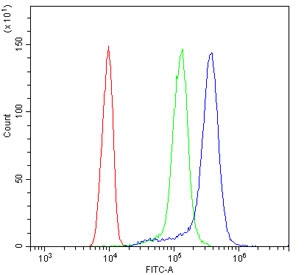 Flow cytometry testing of human ThP-1 cells with ULK3 antibody at 1ug/million cells (blocked with goat sera); Red=cells alone, Green=isotype control, Blue= ULK3 antibody.