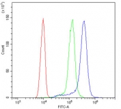 Flow cytometry testing of human ThP-1 cells with ULK3 antibody at 1ug/10^6 cells (blocked with goat sera); Red=cells alone, Green=isotype control, Blue= ULK3 antibody.