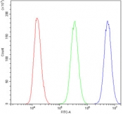 Flow cytometry testing of human PC-3 cells with UPF1 antibody at 1ug/million cells (blocked with goat sera); Red=cells alone, Green=isotype control, Blue= UPF1 antibody.