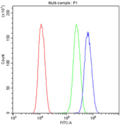 Flow cytometry testing of fixed and permeabilized human U-2 OS cells with JAB1 antibody at 1ug/million cells (blocked with goat sera); Red=cells alone, Green=isotype control, Blue= JAB1 antibody.