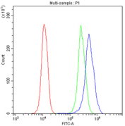 Flow cytometry testing of fixed and permeabilized human U937 cells with JAB1 antibody at 1ug/million cells (blocked with goat sera); Red=cells alone, Green=isotype control, Blue= JAB1 antibody.