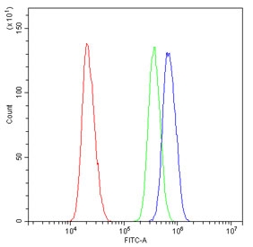 Flow cytometry testing of human U-2 OS cells with EME1 antibody at 1ug/million cells (blocked with goat sera); Red=cells alone, Green=isotype control, Blue= EME1 antibody.