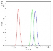 Flow cytometry testing of human U-2 OS cells with EME1 antibody at 1ug/10^6 cells (blocked with goat sera); Red=cells alone, Green=isotype control, Blue= EME1 antibody.