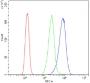 Flow cytometry testing of human A431 cells with UHRF1 antibody at 1ug/million cells (blocked with goat sera); Red=cells alone, Green=isotype control, Blue= UHRF1 antibody.