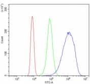Flow cytometry testing of human K562 cells with KChIP2 antibody at 1ug/million cells (blocked with goat sera); Red=cells alone, Green=isotype control, Blue= KChIP2 antibody.