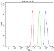 Flow cytometry testing of fixed and permeabilized human K562 cells with HDAC6 antibody at 1ug/million cells (blocked with goat sera); Red=cells alone, Green=isotype control, Blue= HDAC6 antibody.