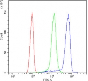 Flow cytometry testing of human ThP-1 cells with DARPP-32 antibody at 1ug/million cells (blocked with goat sera); Red=cells alone, Green=isotype control, Blue= DARPP-32 antibody.