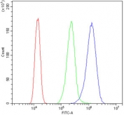 Flow cytometry testing of human A431 cells with TIF1 gamma antibody at 1ug/million cells (blocked with goat sera); Red=cells alone, Green=isotype control, Blue= TIF1 gamma antibody.