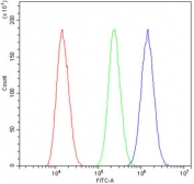 Flow cytometry testing of human U-87 MG cells with TIF1 gamma antibody at 1ug/million cells (blocked with goat sera); Red=cells alone, Green=isotype control, Blue= TIF1 gamma antibody.