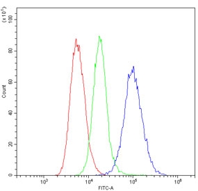 Flow cytometry testing of human SiHa cells with HLA-C antibody at 1ug/10^6 cells (blocked with goat sera); Red=cells alone, Green=isotype control, Blue= HLA-C antibody.
