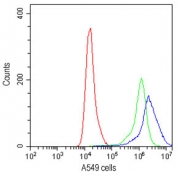 Flow cytometry testing of human A549 cells with CD27 antibody at 1ug/million cells (cells blocked with goat sera); Red=cells alone, Green=isotype control, Blue=CD27 antibody.