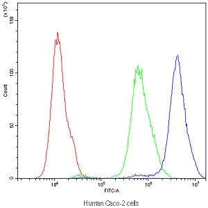 Flow cytometry testing of human Caco-2 cells with APOA1 antibody at 1ug/million cells (blocked with goat sera); Red=cells alone, Green=isotype control, Blue=APOA1 antibody.