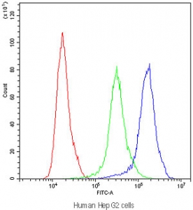 Flow cytometry testing of human HepG2 cells with APOA1 antibody at 1ug/million cells (blocked with goat sera); Red=cells alone, Green=isotype control, Blue=APOA1 antibody.