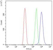 Flow cytometry testing of human U-2 OS cells with IL7R antibody at 1ug/10^6 cells (blocked with goat sera); Red=cells alone, Green=isotype control, Blue= IL7R antibody.