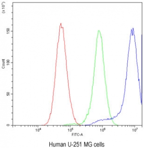 Flow cytometry testing of human U-251 MG cells with CCT3 antibody at 1ug/million cells (blocked with goat sera); Red=cells alone, Green=isotype control, Blue= CCT3 antibody.
